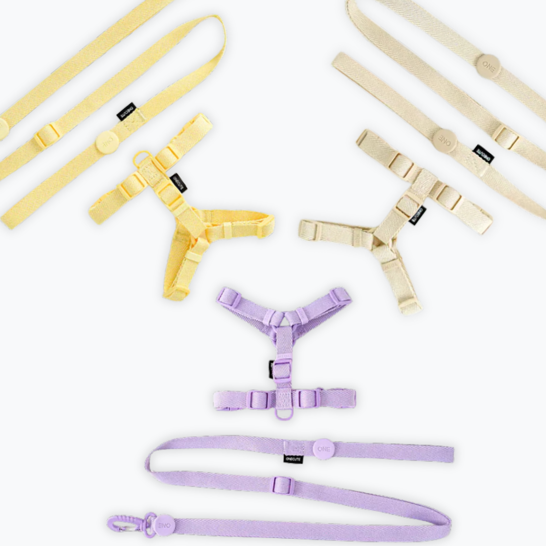 H-Type Harness Set
