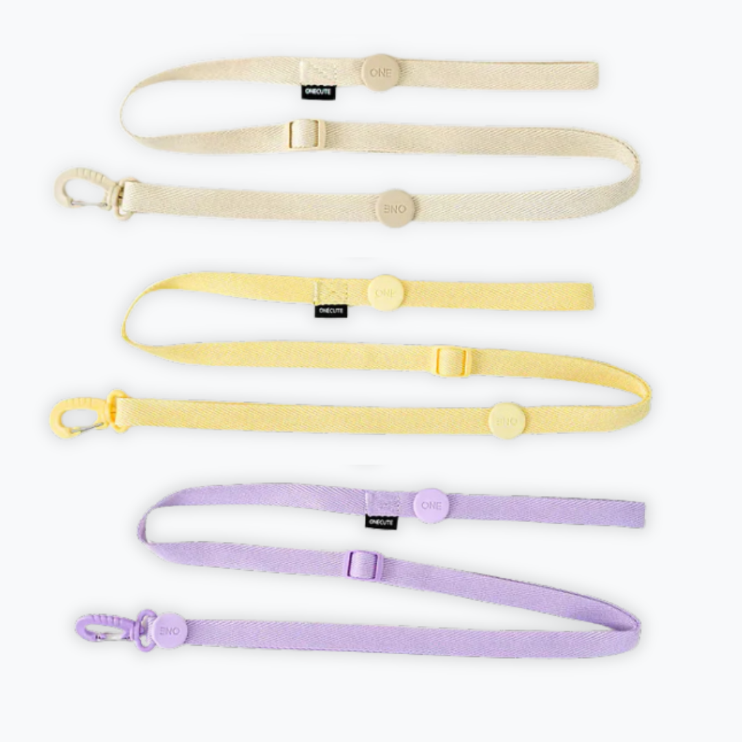 H-Type Leash