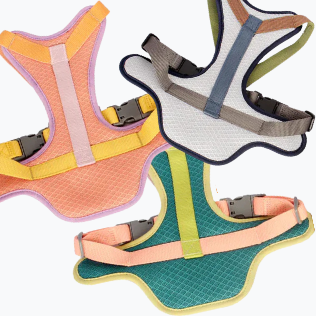 Harness + Leash Set (20% Off)