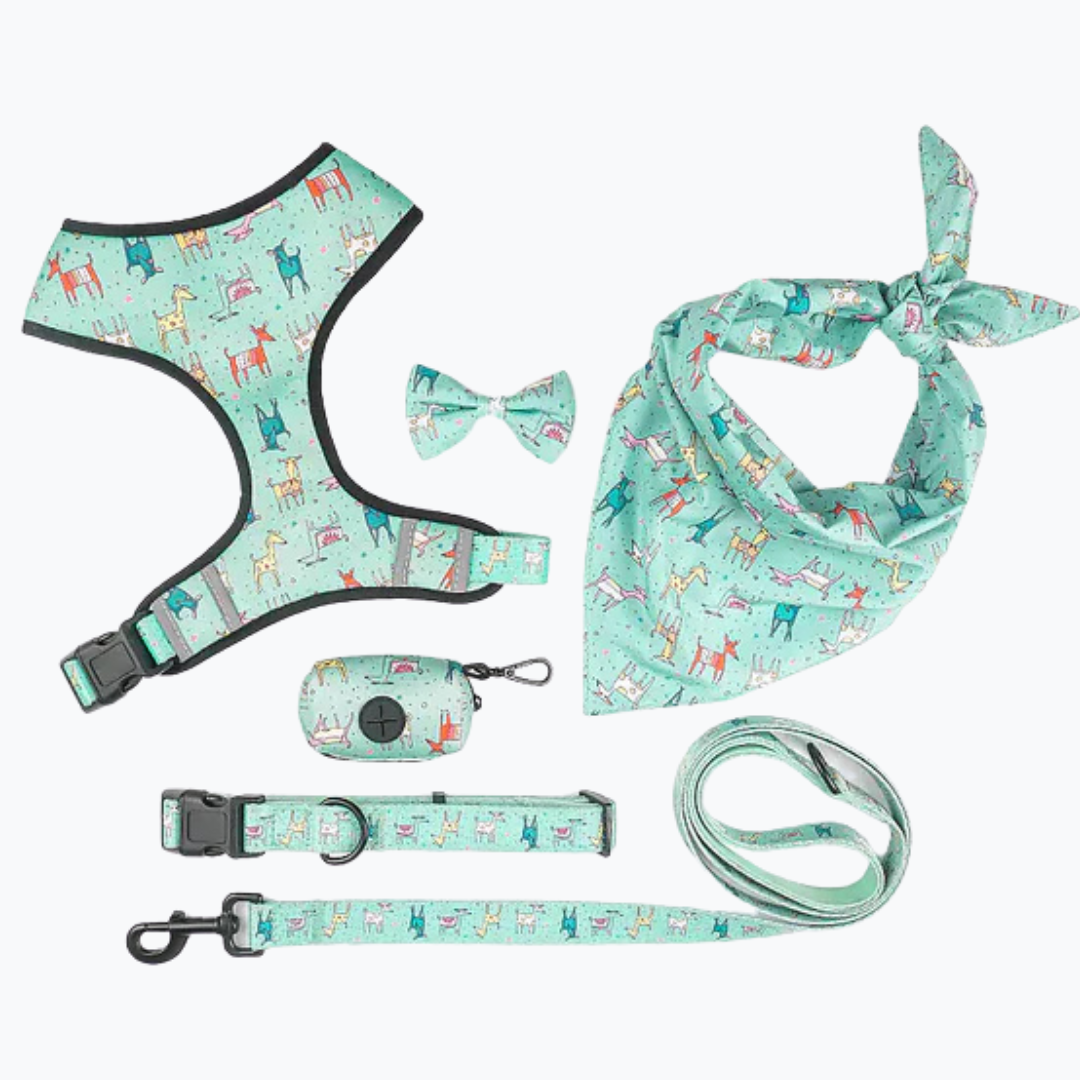Style Harness Set
