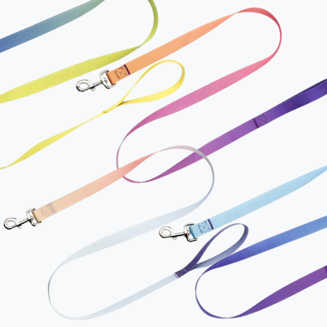Gradient Leash