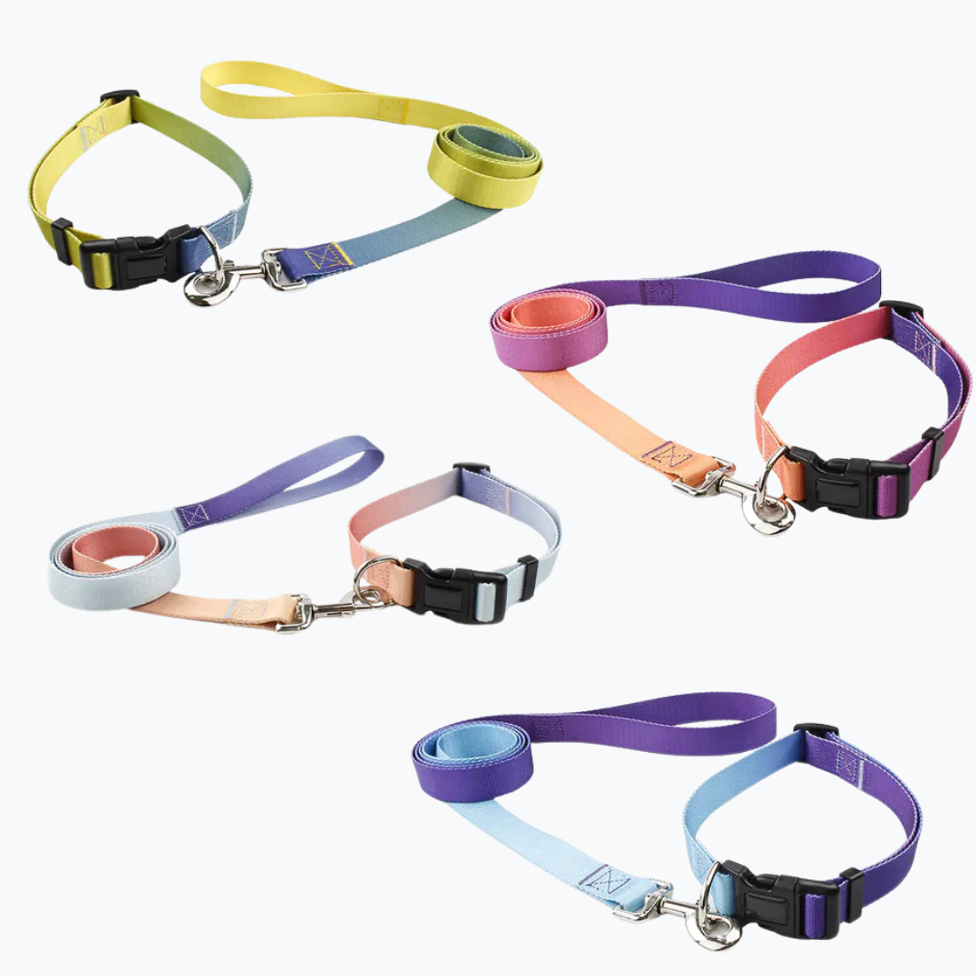 Gradient Collar and Leash Set