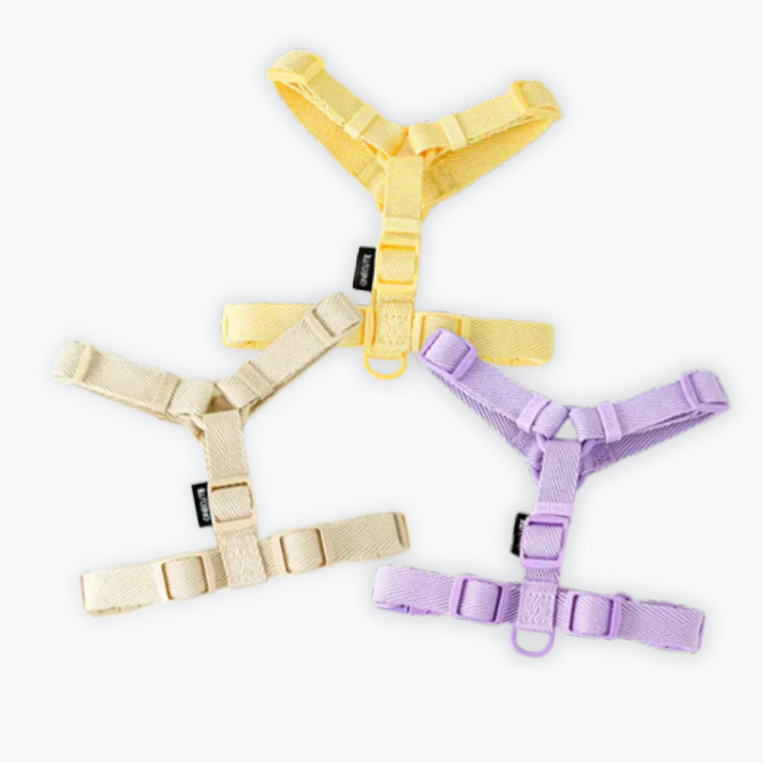 H-Type Harness