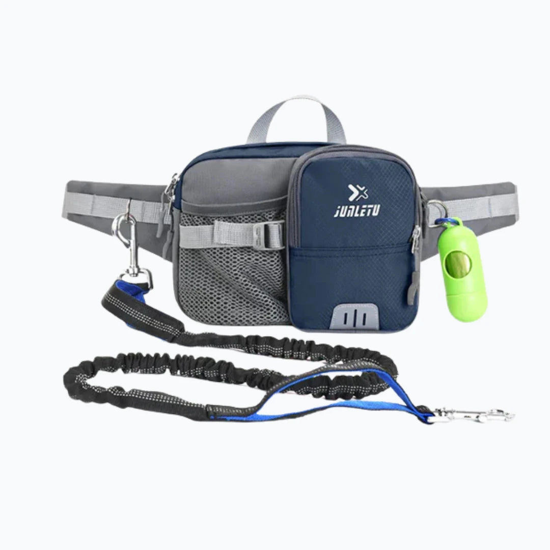 Dog Walking Bag