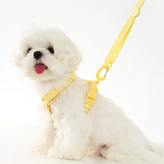 Yellow H-Type Harness